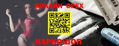 сатива Гатчина