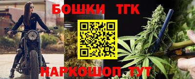 сатива Гатчина