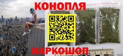 сатива Гатчина