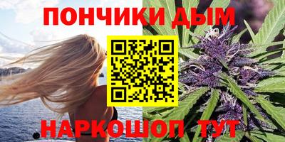 сатива Гатчина
