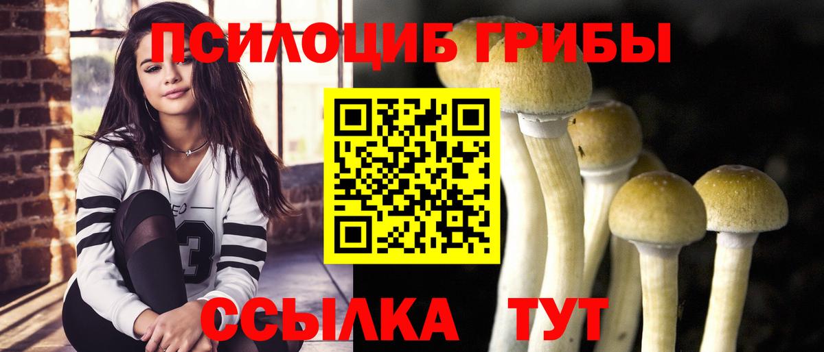Псилоцибиновые грибы Psilocybine cubensis Выкса