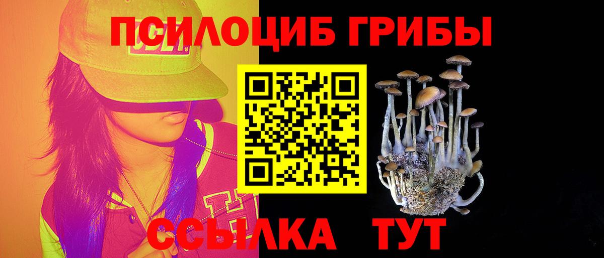 Галлюциногенные грибы MAGIC MUSHROOMS  Вход с VPN  Выкса 